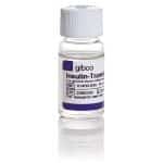 INSULIN-TRANS-SEL-G, 100X 10ML