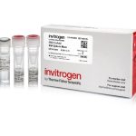 ERCC ExFold Control w Protcl / PC