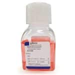 וימ ריחמ StemPro® Accutase® Cell Dissociation Reagent 100ml