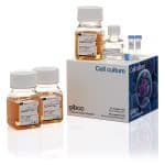 ExpiFectamine™ CHO Transfection Kit, for 1 L of culture