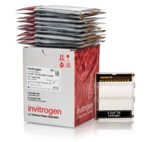 E-Gel™ EX Double Comb Agarose Gels, 1% / 10 gels