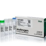 DNAfree 50 rxns / PC