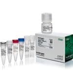 RNase T1 (Biochemistry grade)200ul 1U/ul / PC