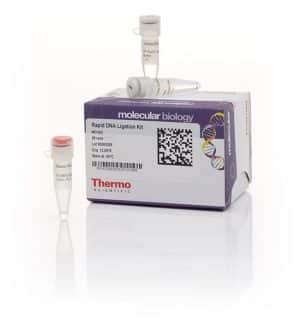 Rapid DNA Ligation Kit / 50 reactions