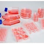 90mm Dish Sphera Packed 5/20 20 / CS