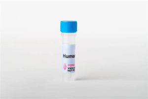 MURINE IL-12 P70, PEPROTECH 2 UG