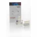 Qubit® RNA HS 4-200ng Assay Kit/100 assays