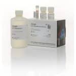 Qubit® dsDNA BR Assay Kit, 500 assays