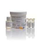 Quant-It Ribogreen Rna Assay K / 1 kit