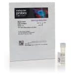 Sytox Blue Dead Cell Stain For 1 ml