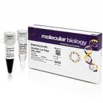 Generuler lr dna ladder / 50 µg