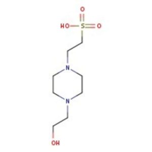 HEPES-buffered saline, pH 7.0 (2X for transfection)